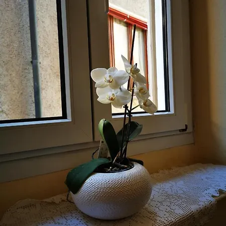 Casa Ida Ferienhaus Cannobio